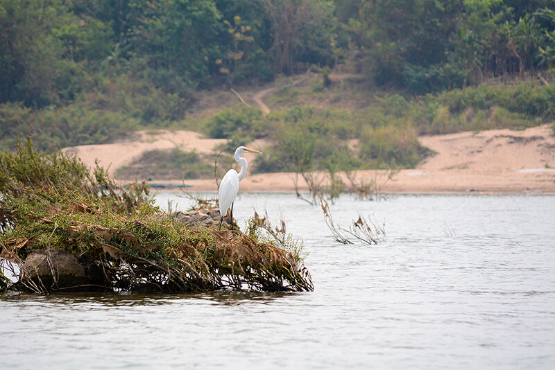 Experience Stung Treng’s safe sites with guided tours